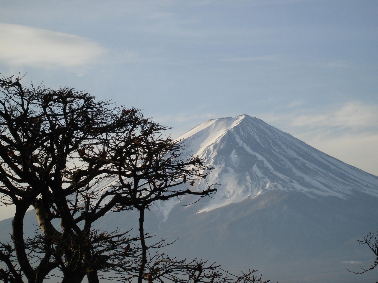 日本樱岛火山喷发 灰柱高达2000米